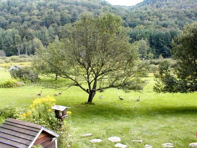 Mountain Valley Retreat Киллингтон Экстерьер фото